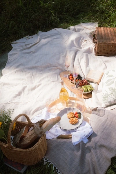 Sommer_picknick_1 Sommer Picknick